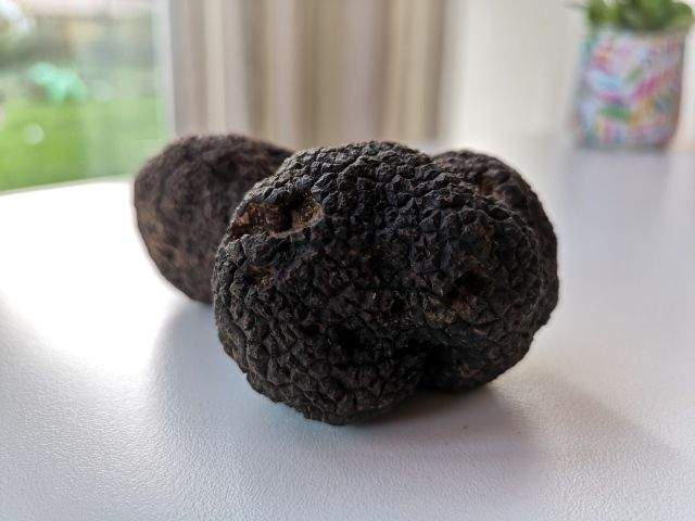 La Truffe noire s'invite à "La Chênaie"